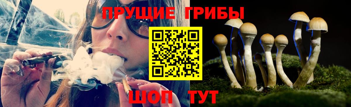 Псилоцибиновые грибы GOLDEN TEACHER Клин
